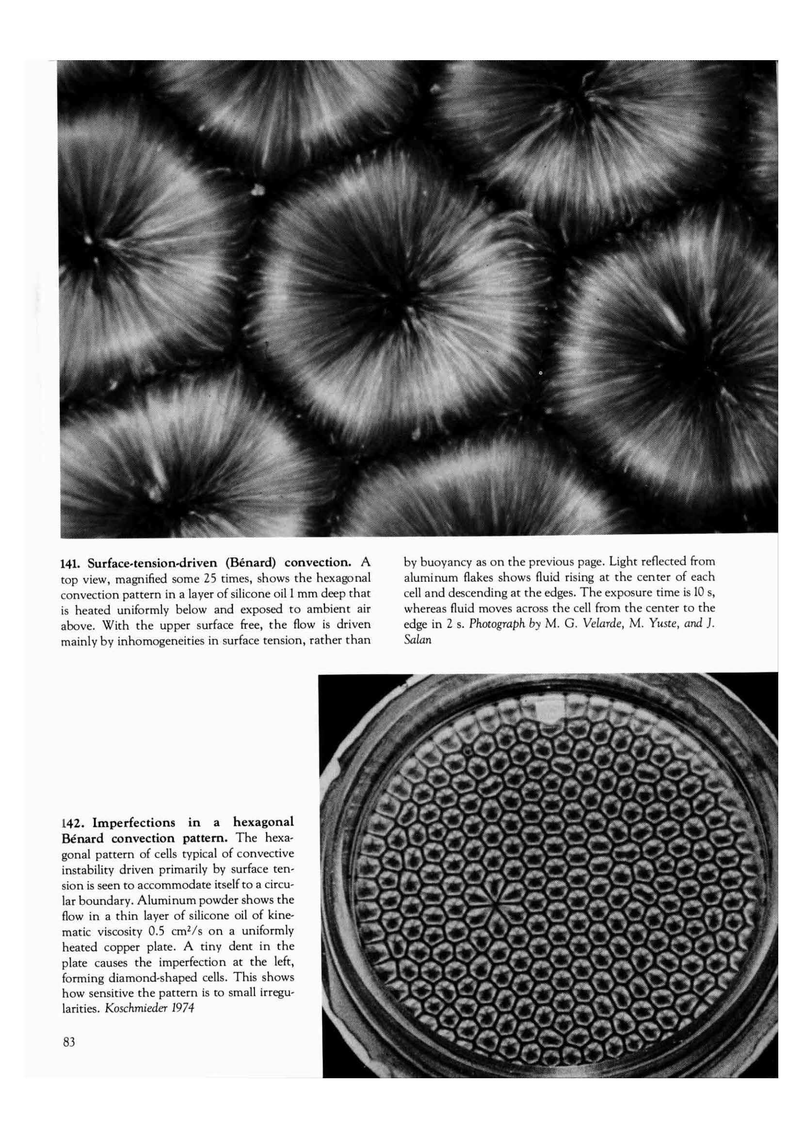 Pages from An Album of Fluid